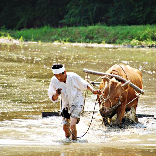 증평모임 몇개...