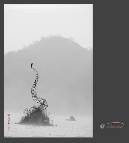 사진산책 -  緣木求魚