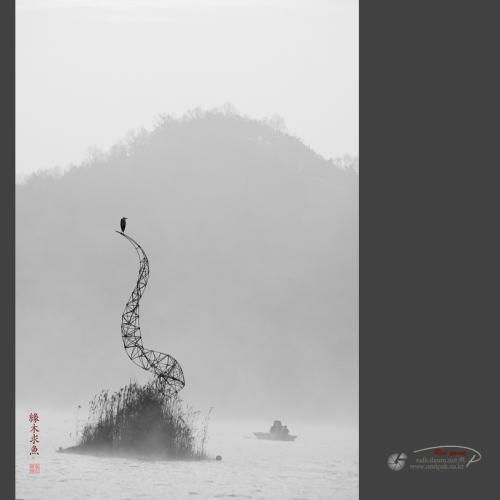 사진산책 -  緣木求魚