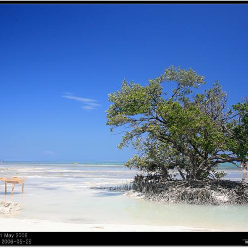 KEY WEST를 떠나며