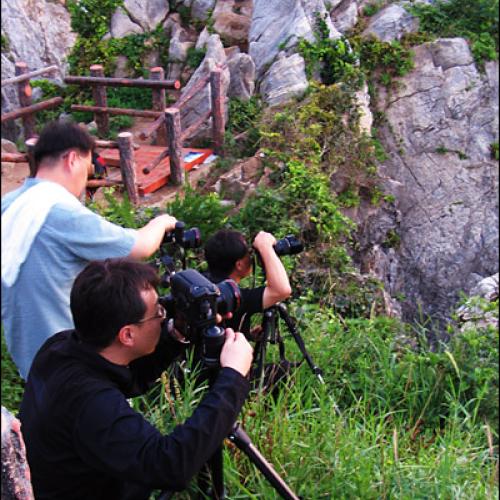 해가 올라왔다~ 사격 개시~~