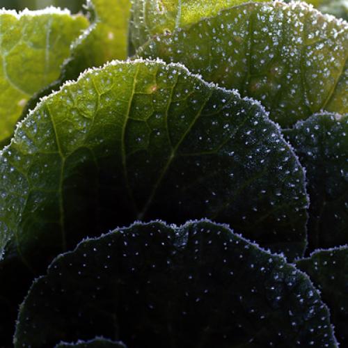 오늘 아침엔138-1탄