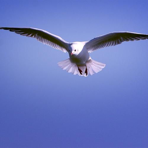 첫 포스팅입니당..^^