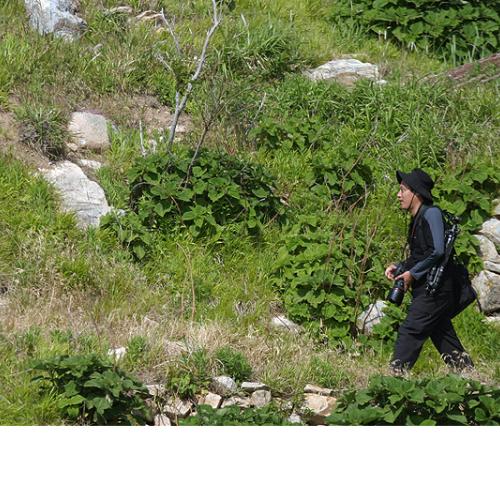 소매물도의 오내사님