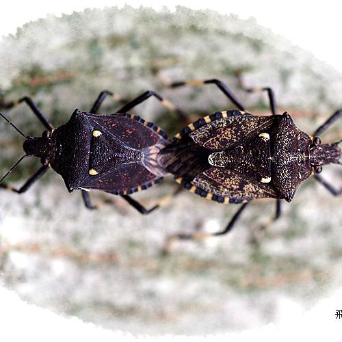 오늘 아침엔63탄