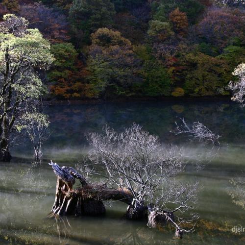 1등이다....주산지....