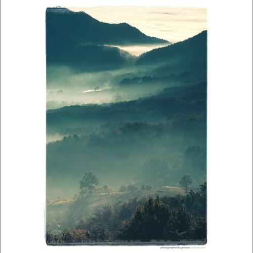 그 림 을 그 리 다