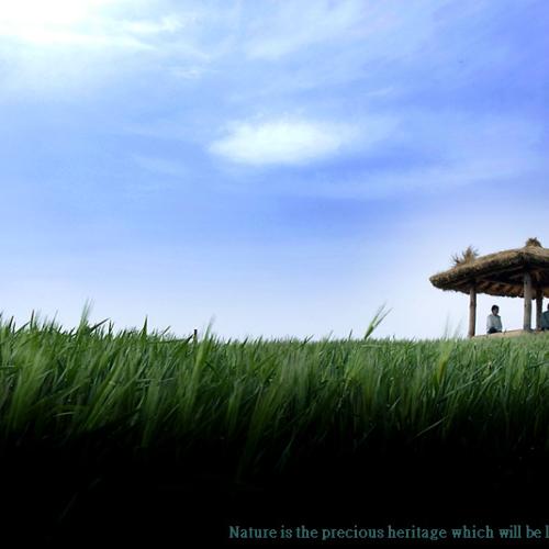 지나간 시간속으로...