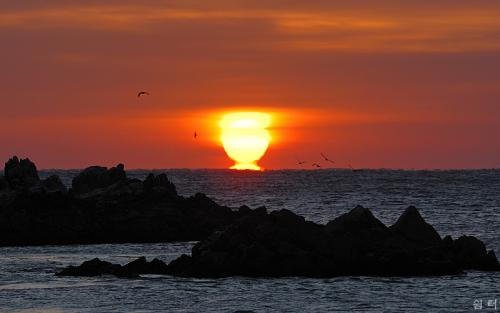 문무대왕암 일출