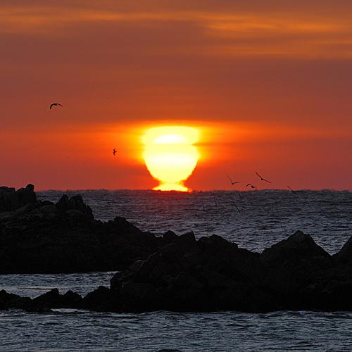 문무대왕암 일출