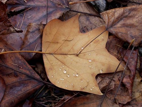 오래전 찍었던 사진...