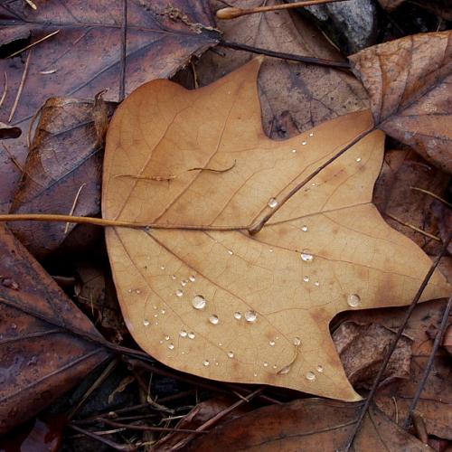 오래전 찍었던 사진...