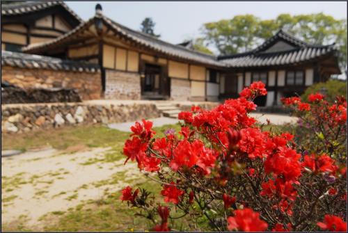 [D200]고택의 봄날