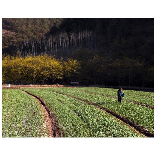 봄이 오는 풍경