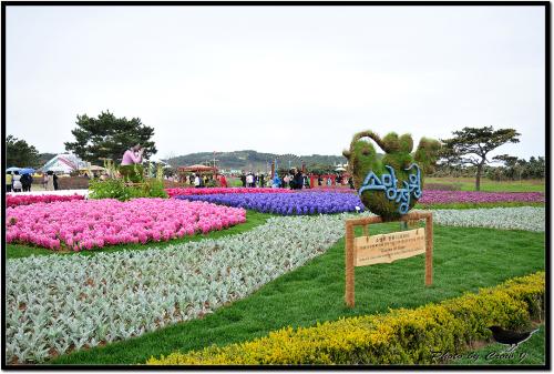 2009 안면도 국제꽃박람회