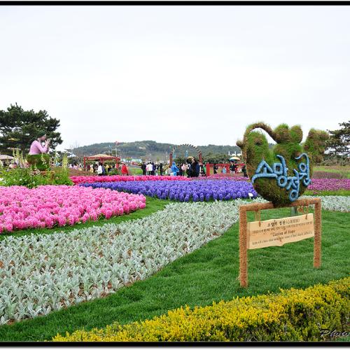 2009 안면도 국제꽃박람회