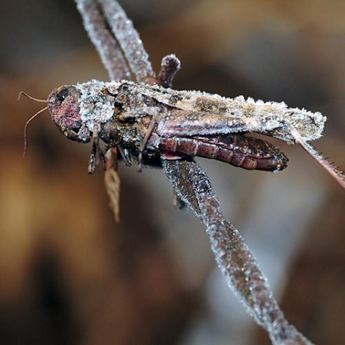 오늘 아침엔138-3탄