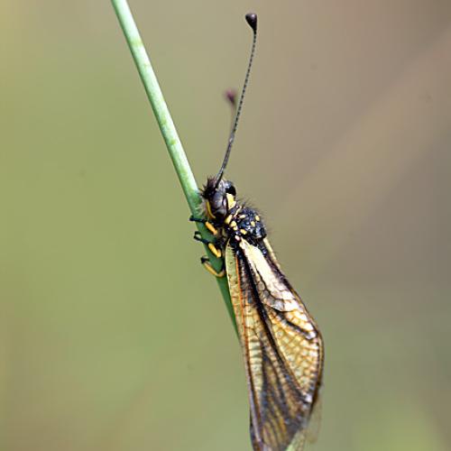 오늘 아침엔185-2탄