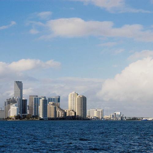파노라마 - 마이애미 씨티