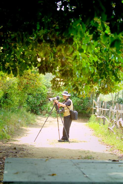 메아리님 (소매물도의 폐교에서 )