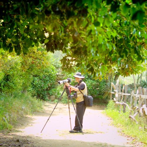 메아리님 (소매물도의 폐교에서 )
