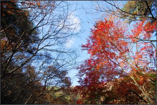 그냥 보낼 수 없어서...