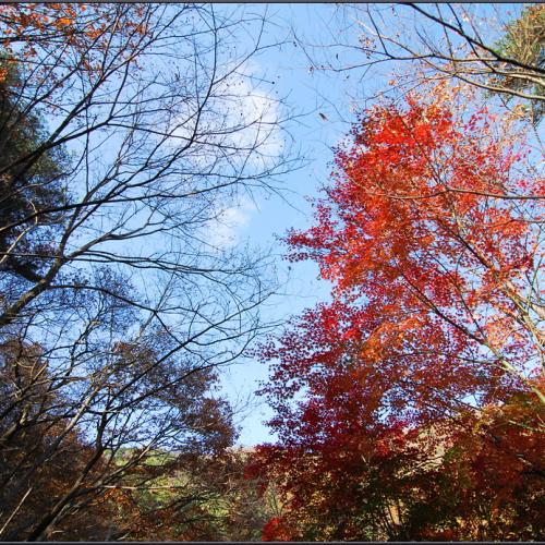 그냥 보낼 수 없어서...