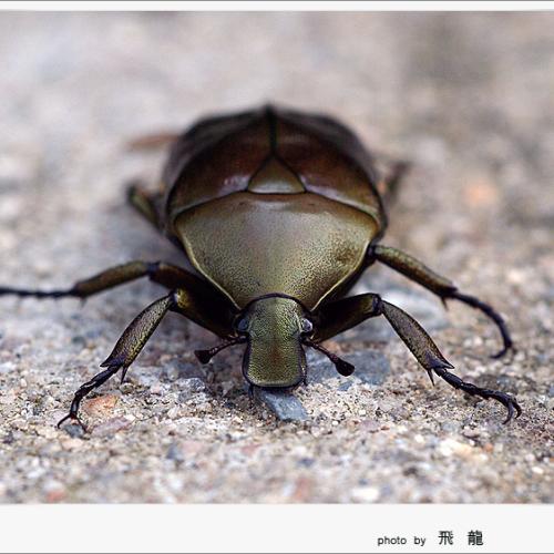 오늘 아침엔65탄(연작)