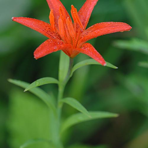 오늘 아침엔186-2탄