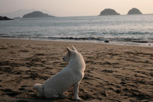 어딜 가는 걸까?