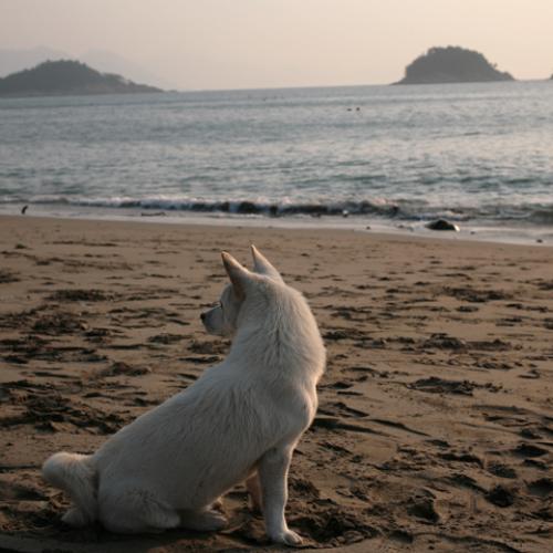 어딜 가는 걸까?