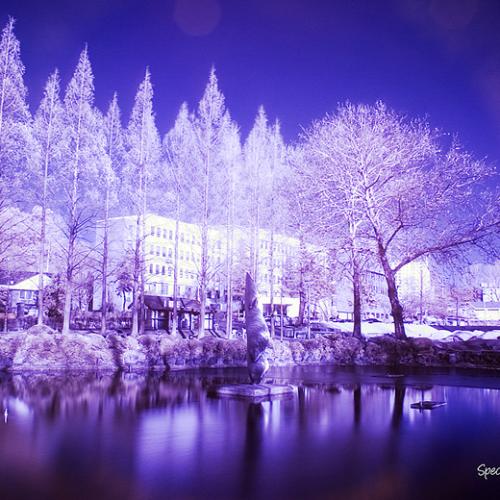 생존신고~~ 오정못