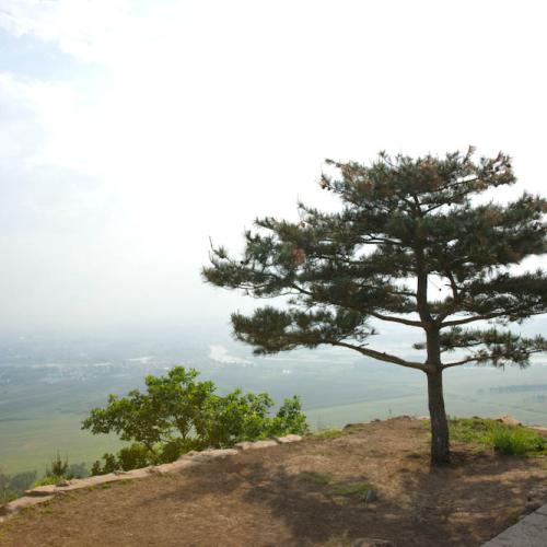 일송정 푸른솔은 ....