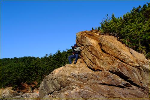 열정의 진사....