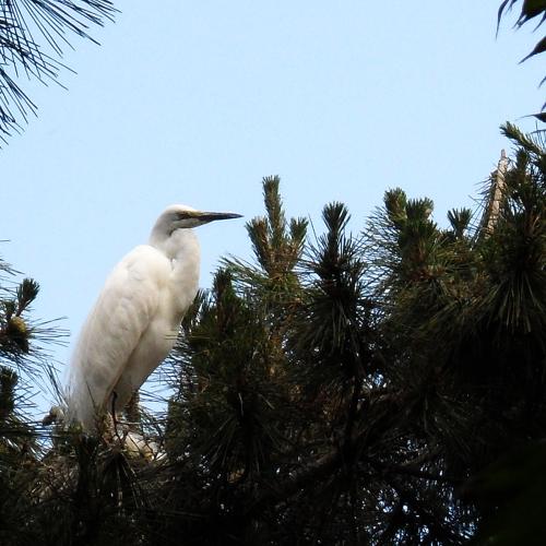 남선공원의 새로운 모습(1)