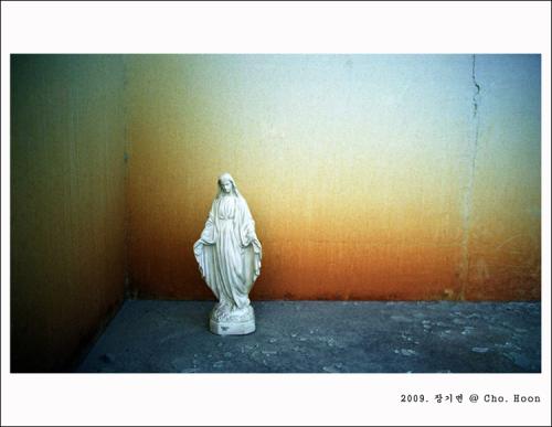 2009. 장기면