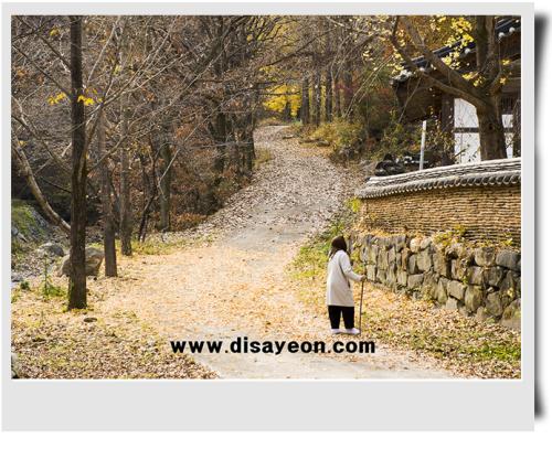 가을이 멀어져 가네요.