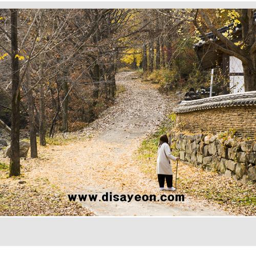 가을이 멀어져 가네요.