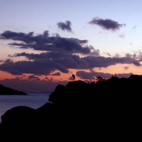 대마도 일출(7장)