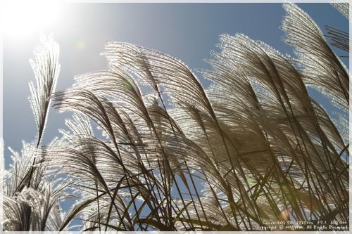 독립기념관에서...