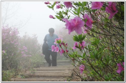 안개속의남자들..