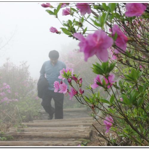안개속의남자들..