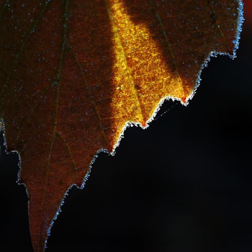 오늘 아침엔140-1탄