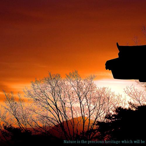 용암사의 호랑이