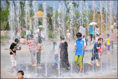 수목원의 6월(2)