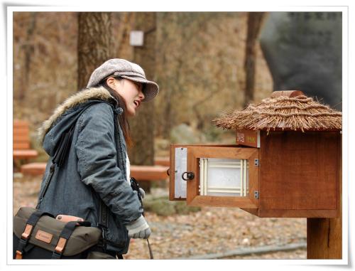 인프리님, 옛풍님