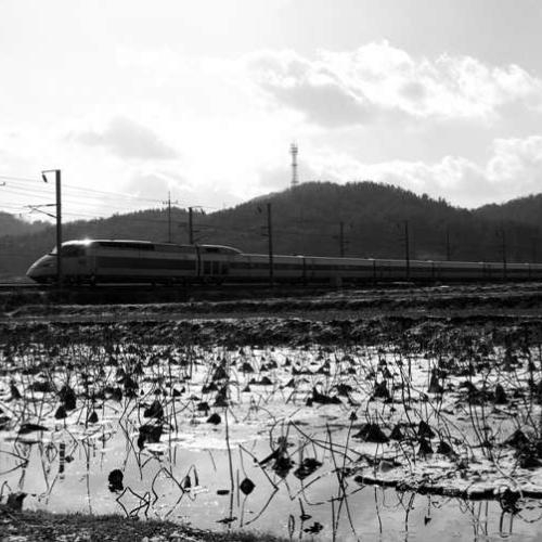 행복의 나라로...