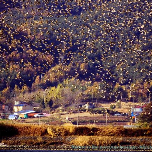 신이 내린 축복...