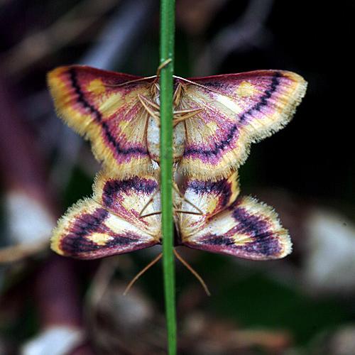 오늘 아침엔189-2탄