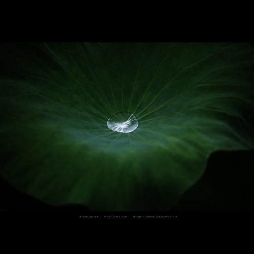 품안에 있을때의 기억....